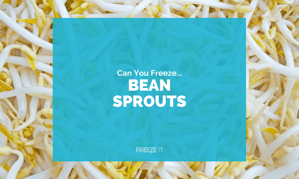 Can You Freeze Bean Sprouts