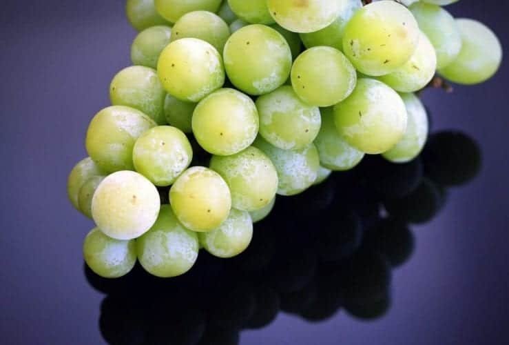 Can You Freeze Grapes? Find Out Here! Freeze It