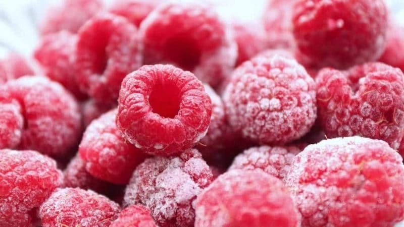 Frozen Fruit for Smoothies