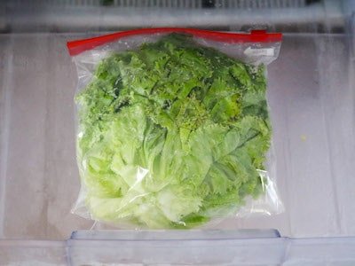 Freeze Lettuce Leaves