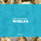 Can You Freeze Whelks?