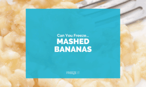 Can You Freeze Mashed Bananas